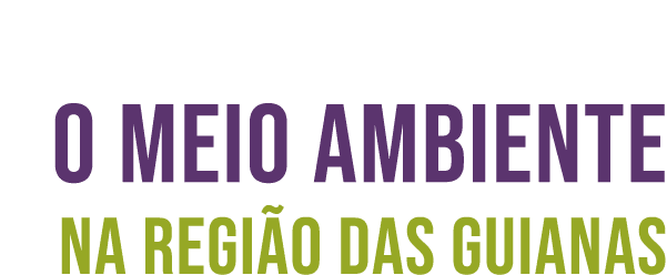 ﻿O meio ambiente na regi o das Guianas